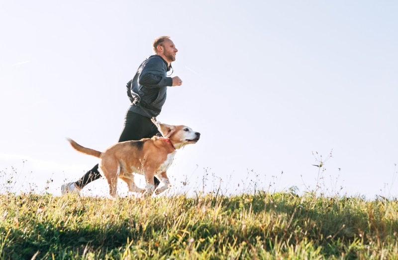 Dog Running Separation Anxiety