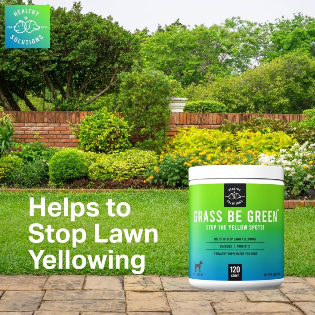 Stop Dog Pee Burns on Grass With Grass Be Green™ Soft Chews