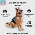 Cranberry_Benefits