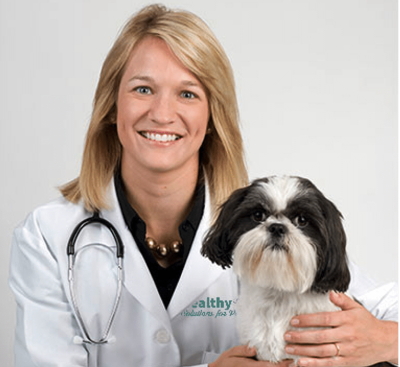 Dog-Health-Checkup