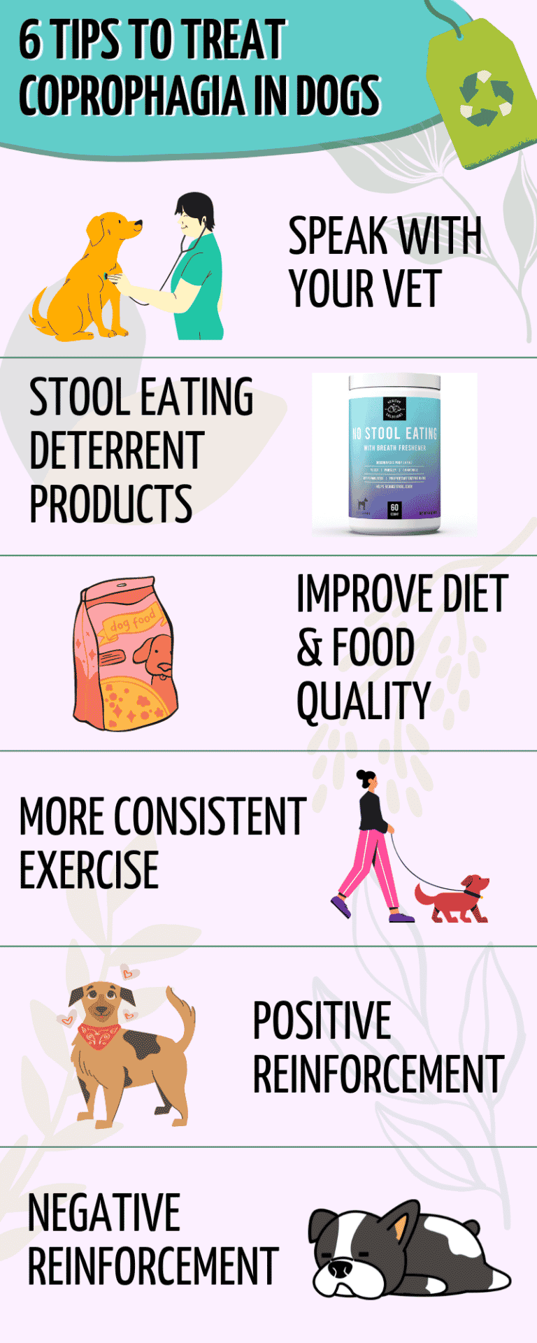 Coprophagia In Dogs Best 6 Tips On How To Prevent & Treat It