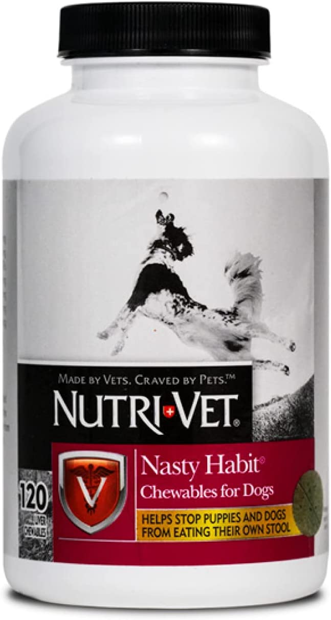 7 Best Poop Eating Deterrents For Dogs (Ranked & Reviewed) Healthy